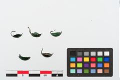 Foto von Bronzeknopf (NHMW-PRAE-024124)